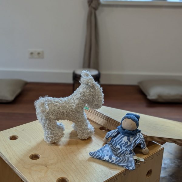 PXL_20250508_132015915.PORTRAIT